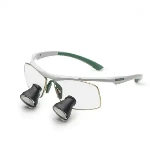 Techne - Snow Forest