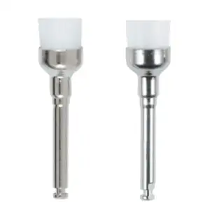 Prophy Brushes